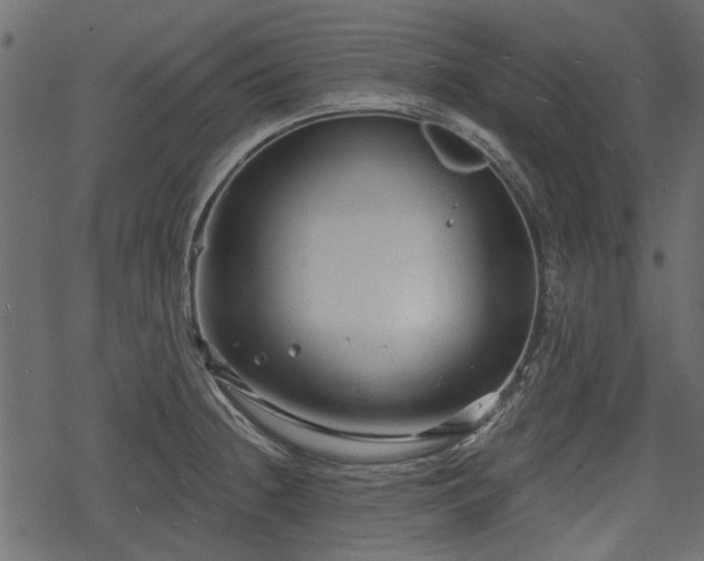 X0000068811236200605121242