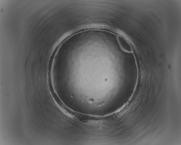 X0000068811237200605121242