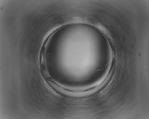 X0000068811238200605121242