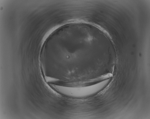 X0000068811239200605121242