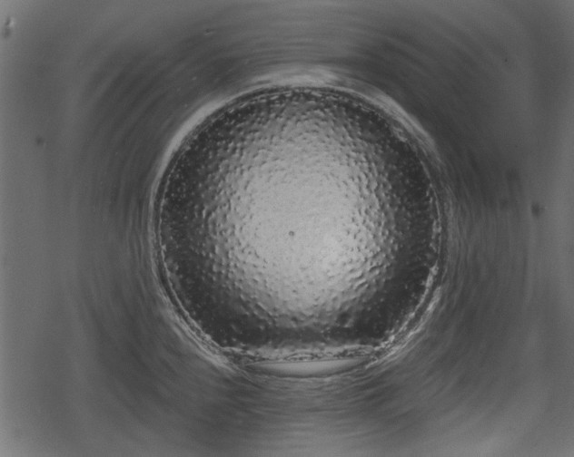 X0000068811240200605121242