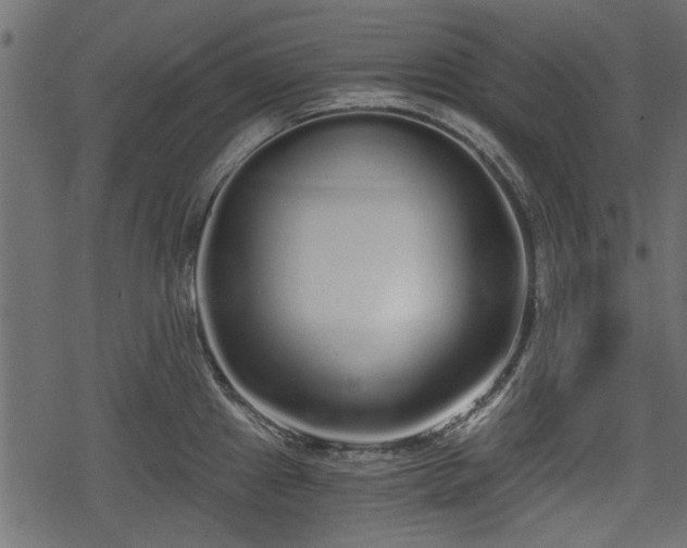 X0000068811241200605121242