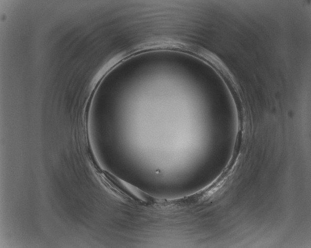 X0000068811242200605121242