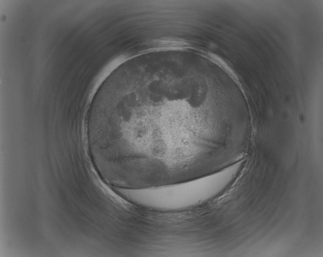 X0000068811243200605121242