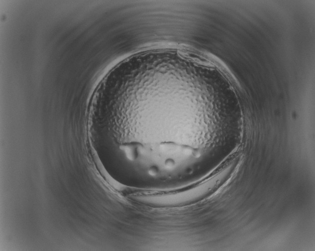 X0000068811244200605121242