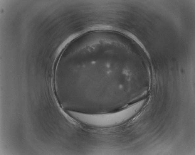 X0000068811245200605121242