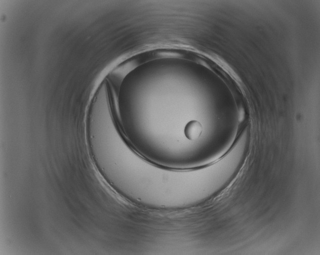 X0000068811246200605121242