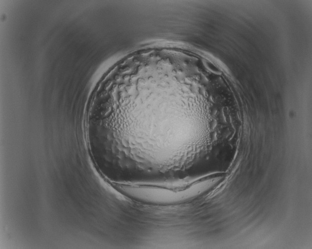 X0000068811247200605121242