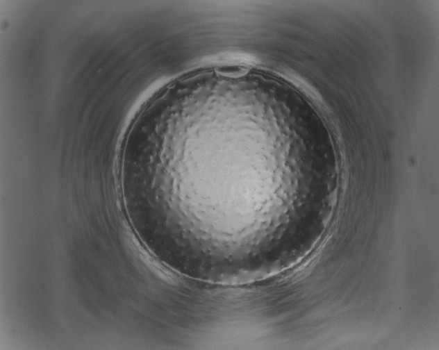 X0000068811248200605121242