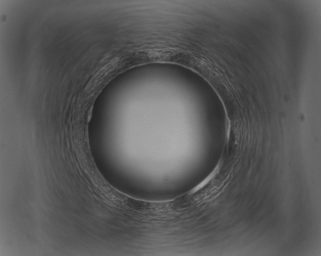 X0000068811249200605121241