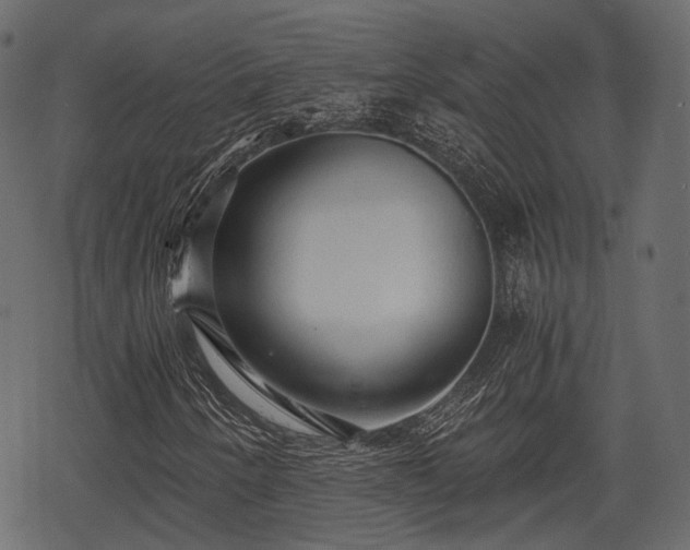 X0000068811250200605121241