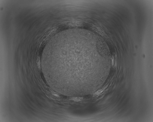 X0000068811251200605121241