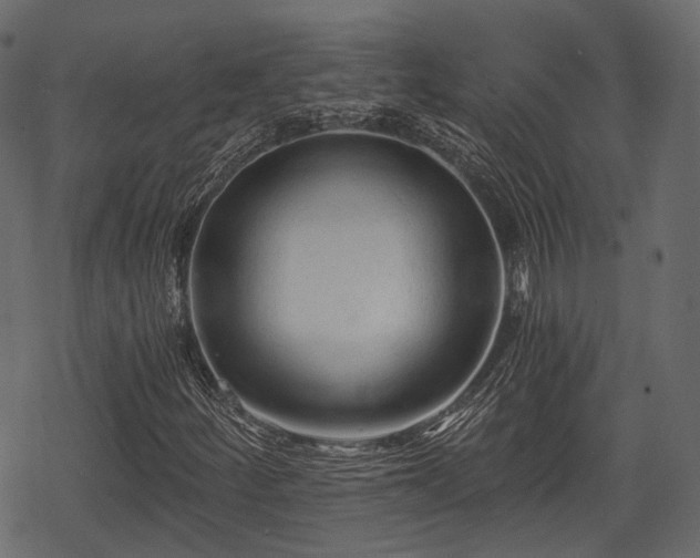 X0000068811252200605121241