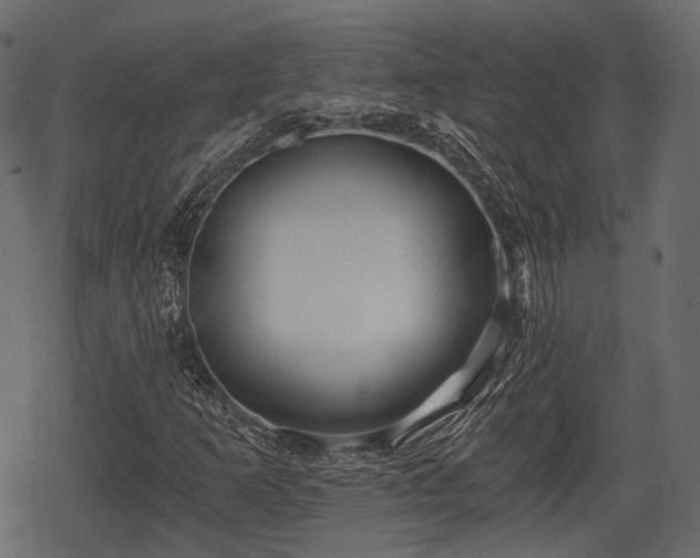 X0000068811253200605121241