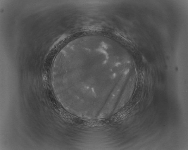 X0000068811254200605121241