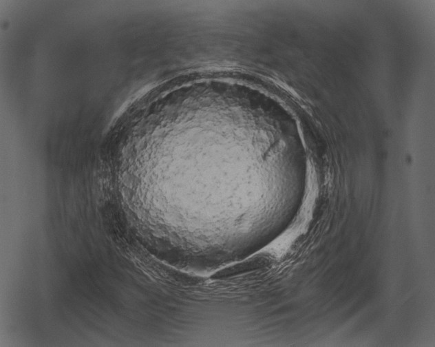 X0000068811255200605121241