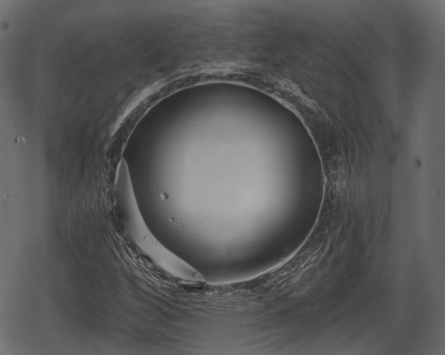 X0000068811256200605121241