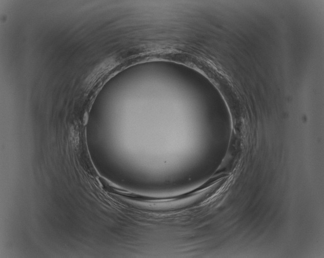 X0000068811257200605121241