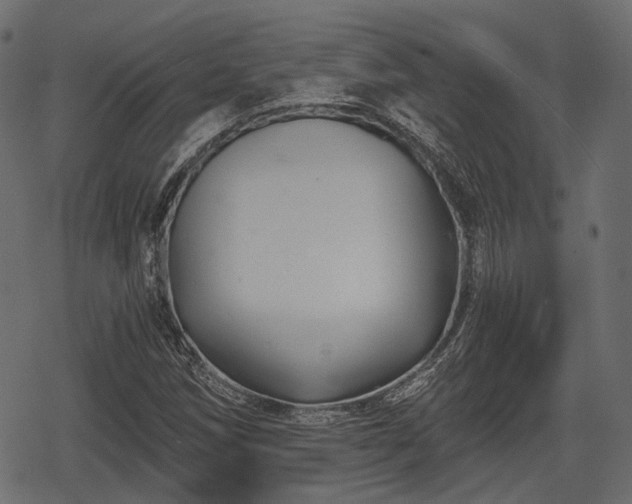 X0000068811258200605121241