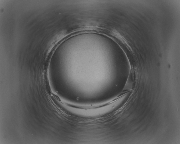 X0000068811260200605121241