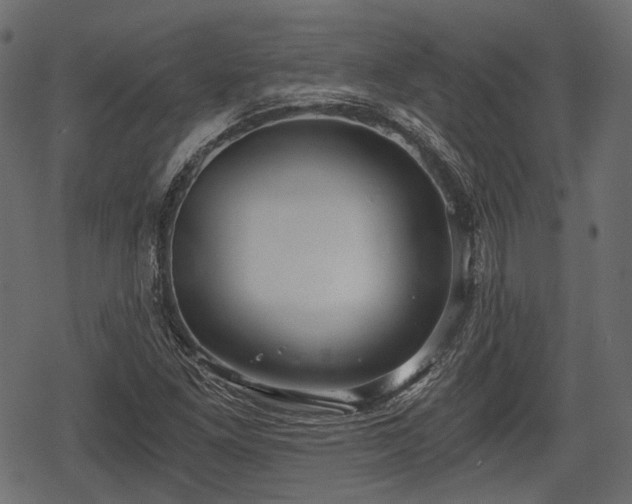 X0000068811261200605121241