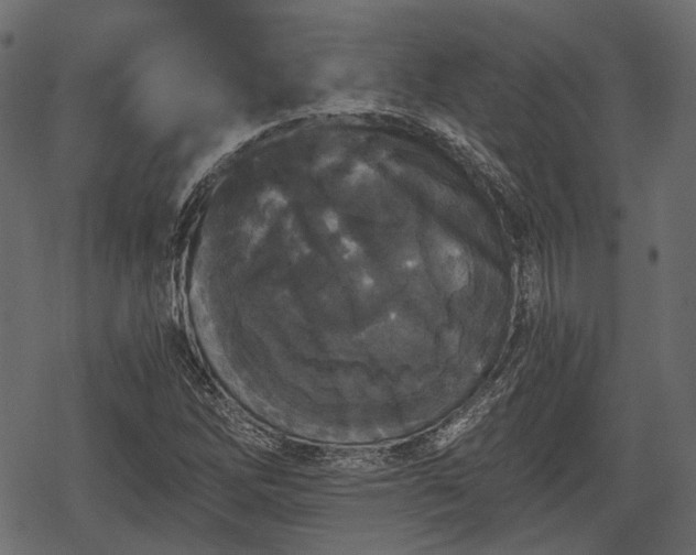 X0000068811262200605121241