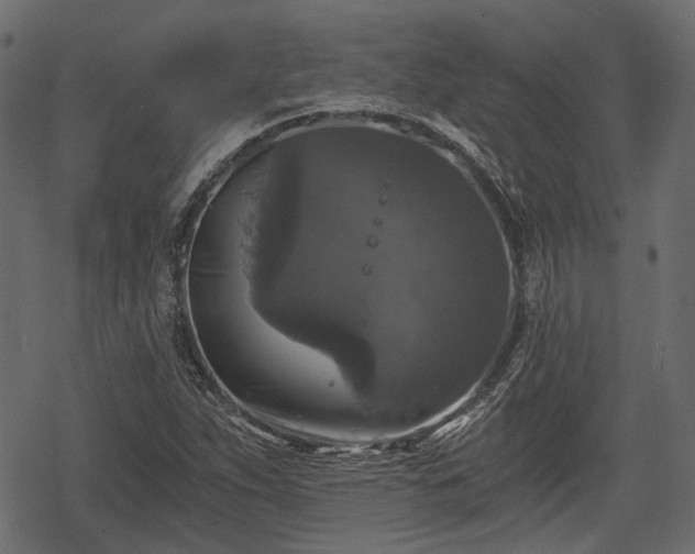 X0000068811263200605121241