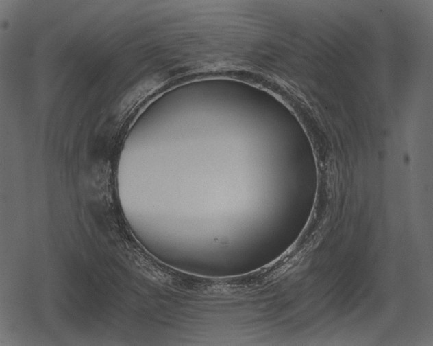 X0000068811265200605121241