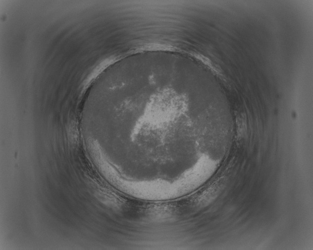 X0000068811266200605121241