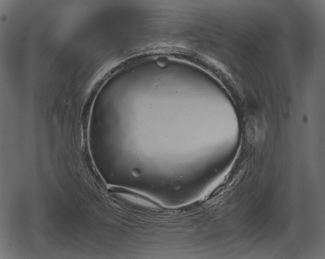 X0000068811267200605121241