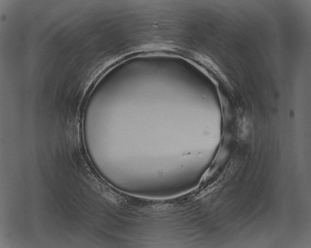 X0000068811268200605121241