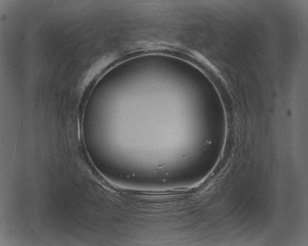 X0000068811269200605121241