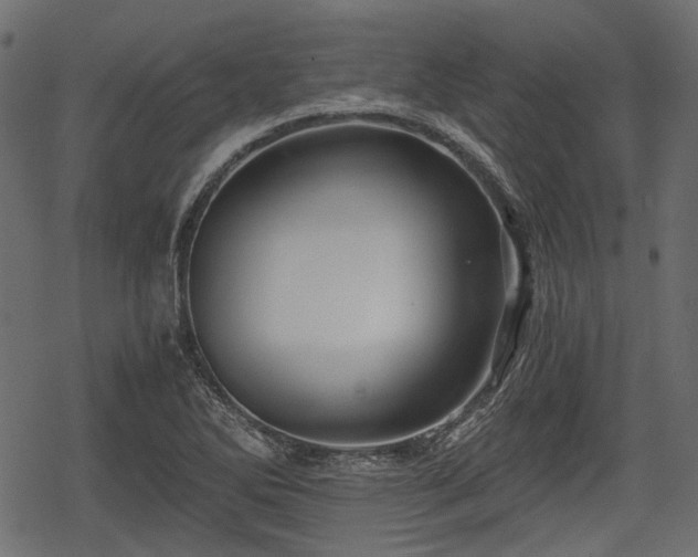 X0000068811270200605121241