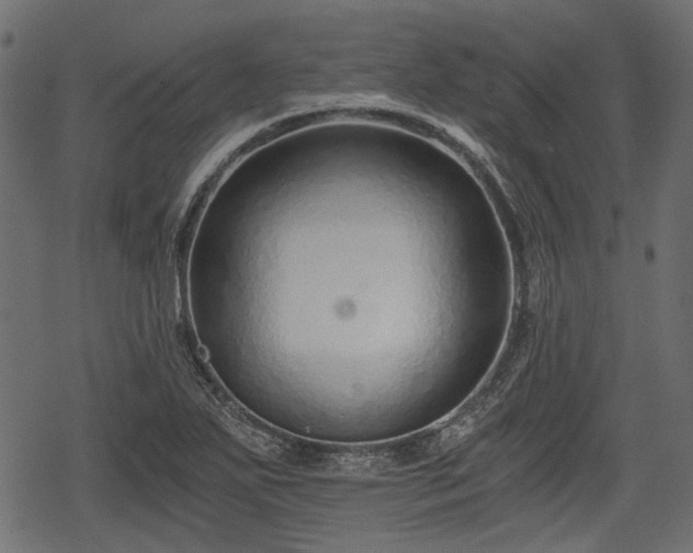 X0000068811271200605121241