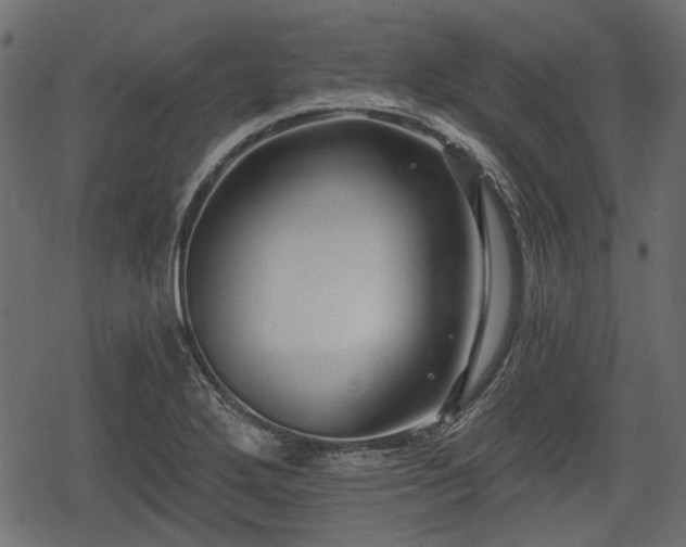 X0000068811272200605121241