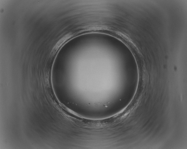 X0000068811273200605121241