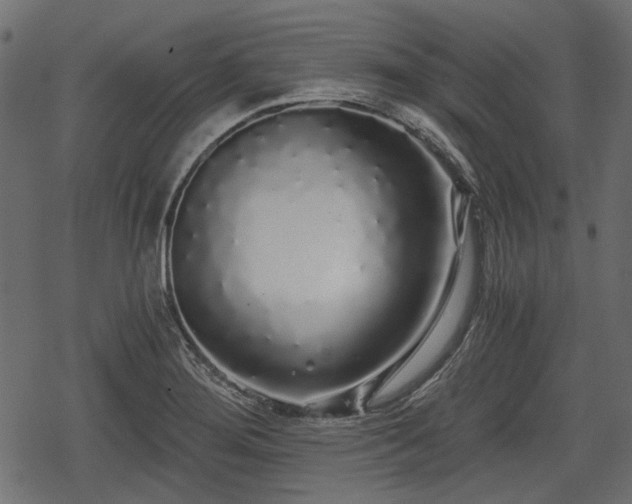 X0000068811276200605121241