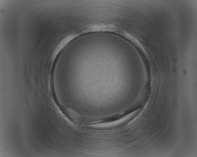 X0000068811277200605121241