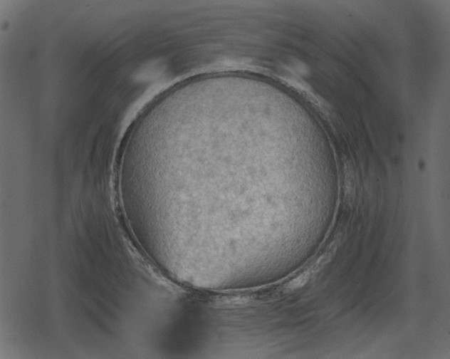 X0000068811278200605121241