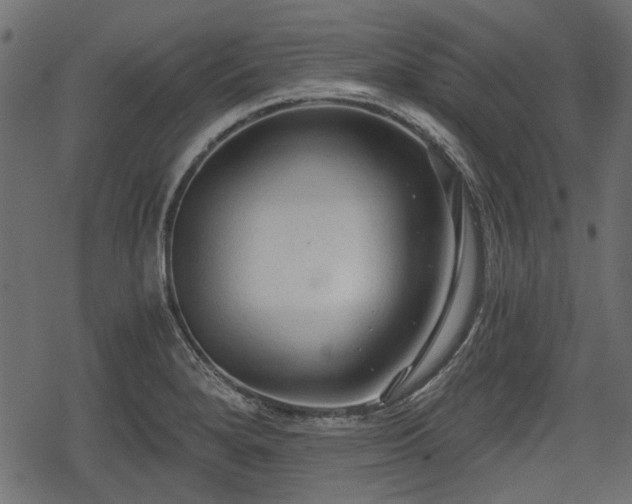 X0000068811280200605121241