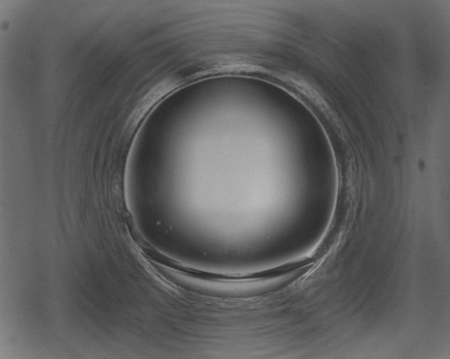 X0000068811281200605121241