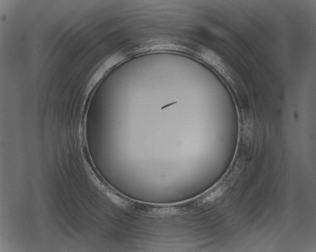 X0000068811282200605121241