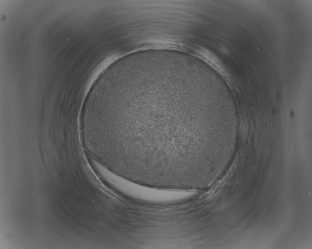 X0000068811283200605121241