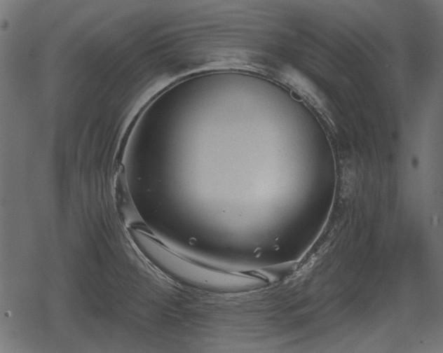 X0000068811284200605121241