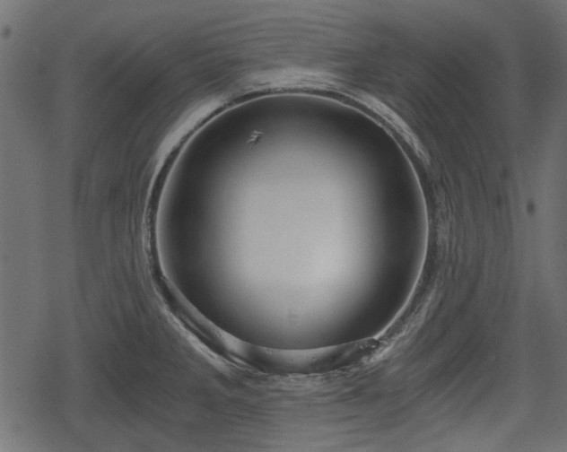 X0000068811285200605121241