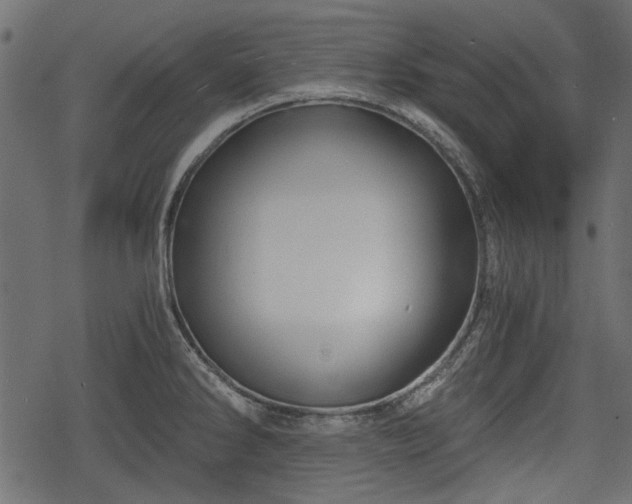 X0000068811286200605121241