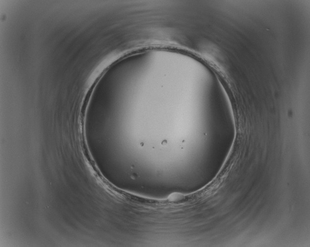 X0000068811287200605121241