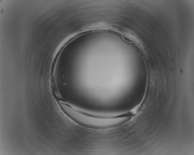 X0000068811288200605121241