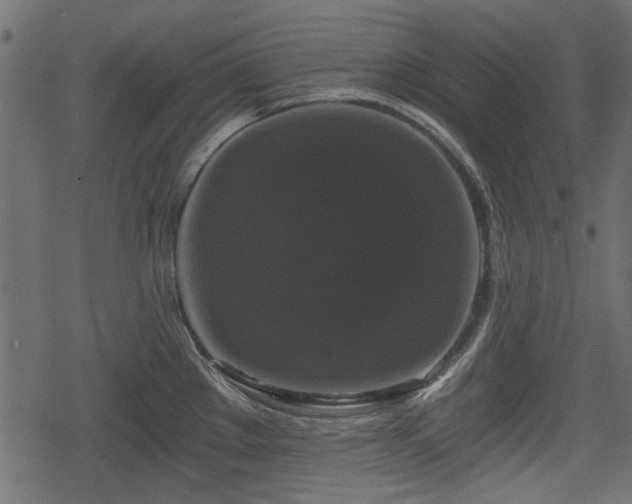 X0000068811289200605121241