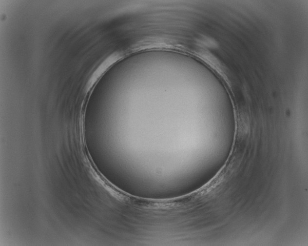 X0000068811290200605121241